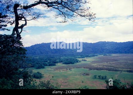 Cratère de Ngurdoto, Parc National d'Arusha, Tanzanie Banque D'Images