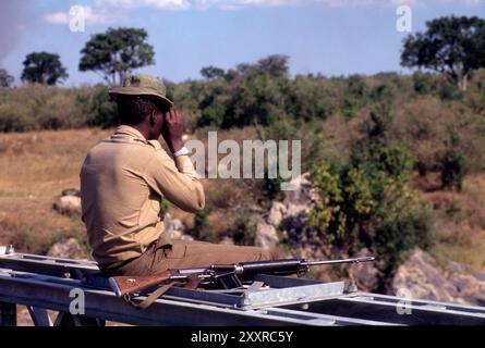 Un garde-fou scrutant les environs à la recherche de braconniers assis au pont Purungat au-dessus de la rivière Mara, à la frontière tanzanienne, dans la réserve de chasse du Masai Mara, au Kenya Banque D'Images