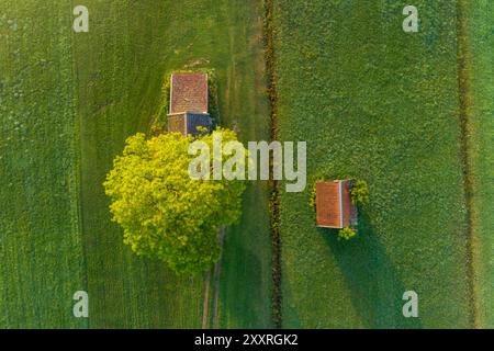 Vue aérienne d'une petite cabane sur un pré fauché, Schlehdorf, Bavière, Allemagne, Europe Banque D'Images