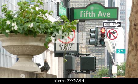 Cinquième avenue, panneau routier 5 Ave, Manhattan Midtown architecture, New York City 5th av, 42 Street corner près de Bryant Park and Library. Signalisation de carrefour, États-Unis. Fleurs, pigeons, feux de circulation Banque D'Images