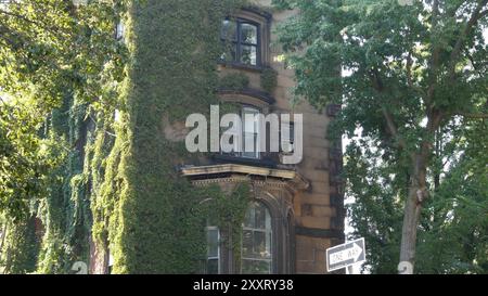 Architecture de bâtiment classique de New York City. Extérieur de coin de maison résidentielle urbaine. Immobilier, États-Unis. Usine de lierre couverte de façade verte typique. Jardin mural sur la rue Stuyvesant. Grimpeur de vigne. Banque D'Images