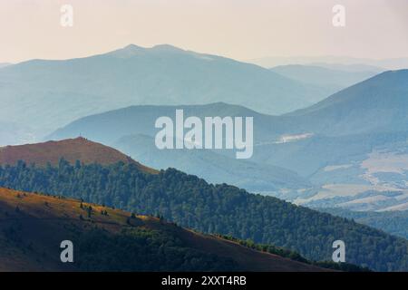 paysage avec des pentes vallonnées de la crête de borzhava. paysage pittoresque de montagne des carpates dans une lumière tamisée. vue dans la vallée lointaine de transcarpathia Banque D'Images