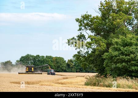 Récolte de blé Otley Suffolk UK Banque D'Images