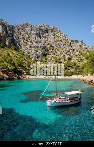 Bateaux de plaisance ancrés sur l'eau turquoise, Cala Murta, Pollença, Majorque, Îles Baléares, Espagne Banque D'Images