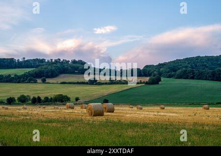 Paysage rural avec des balles de champ et de paille au coucher du soleil. Forêt en arrière-plan. Beau ciel bleu avec des nuages roses. Drietoma, Slovaquie Banque D'Images