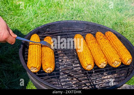 cuisson du maïs sucré sur le gril sur un barbecue par une journée ensoleillée. Nourriture végétalienne saine Banque D'Images