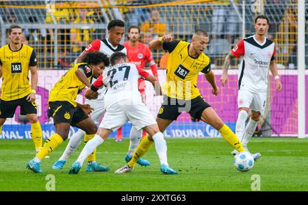 Signal Iduna Arena Dortmund Allemagne, 24.8,2024, Football : Bundesliga saison 2024/25 jour de match 1, Borussia Dortmund (BVB, jaune) vs Eintracht Frankfurt (SGE, blanc) 2:0 - de gauche à droite : Karim Adeyemi (BVB), Tuta (SGE), Mario Götze (Goetze, SGE), Pascal Groß (brut, BVB) Banque D'Images