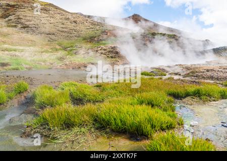 La zone géothermique de Hveradalir en Islande par une journée de printemps ensoleillée avec nuages et ciel bleu Banque D'Images