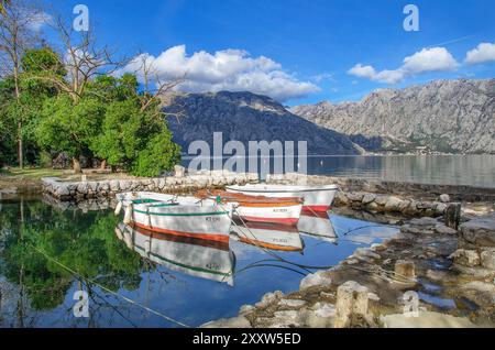 Vue sur la baie de Kotor depuis Prcanj avec des bateaux de pêche traditionnels, baie de Kotor, Montengro Banque D'Images