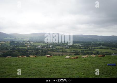 Vue générale depuis la colline de Faughart où a lieu la recherche dans sa localité des restes de Robert Nairac. Une « recherche minutieuse » des restes du soldat disparu a lieu près du site historique près de la frontière irlandaise. L'officier de l'armée britannique aurait été enlevé par l'IRA provisoire lors d'une opération d'infiltration dans un pub dans le sud d'Armagh en 1977 et emmené de l'autre côté de la frontière à Flurry Bridge dans le comté de Louth où il a été tué. Date de la photo : lundi 26 août 2024. Banque D'Images