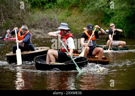 Ironbridge, Shropshire, Royaume-Uni. 26 août 2024 Ironbridge Coracle Regatta. Les coureurs Coracle font un plongeon sur la rivière Severn. Photo de David Bagnall. Crédit : David Bagnall/Alamy Live News Banque D'Images