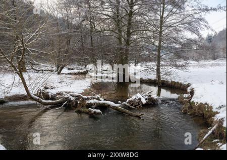 Petit barrage construit par des castors, endiguant un petit plan d'eau avec du bois et de la neige Banque D'Images