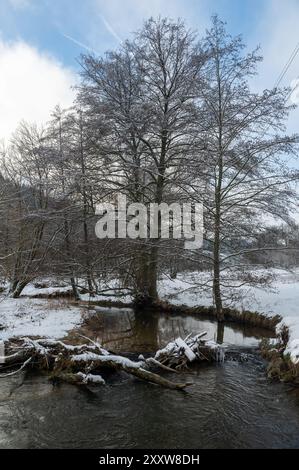 Petit barrage construit par des castors, endiguant un petit plan d'eau avec du bois et de la neige Banque D'Images