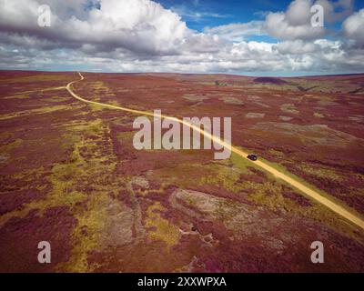 Ce paysage présente un chemin de terre sinueux traversant les vastes champs de bruyère des North York Moors, reflétant les teintes colorées du début de l'automne. Banque D'Images