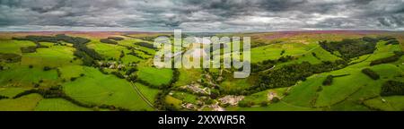 La verdure luxuriante de Bouthwaite, Ramsgill et Kirkby Malzeard Moor, accentuée par les champs de bruyère et la rivière Nidd alimentant le réservoir Gouthwaite. Banque D'Images