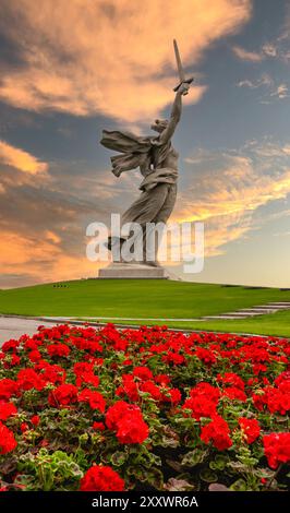 Russie, Volgograd - 01 juin 2024 : vue de côté de la sculpture la mère patrie appelle Mamayev Kurgan depuis un parterre de fleurs avec des pélargoniums écarlate. Monument- Banque D'Images