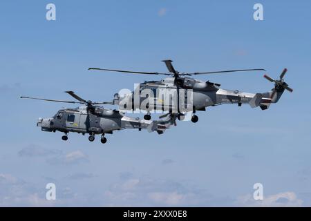 Deux Wildcats de la Royal Navy volant le 19 juillet 2024 à RAF Fairford, Gloucestershire, Royaume-Uni Banque D'Images