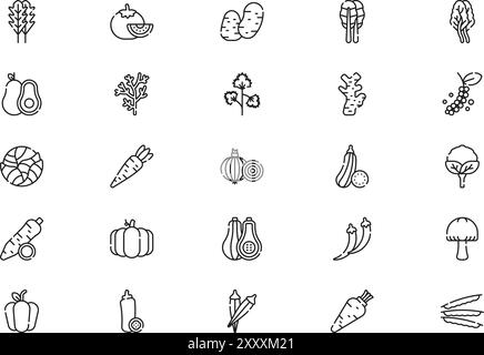 Collection d'icônes de légumes est une illustration vectorielle avec trait modifiable. Illustration de Vecteur