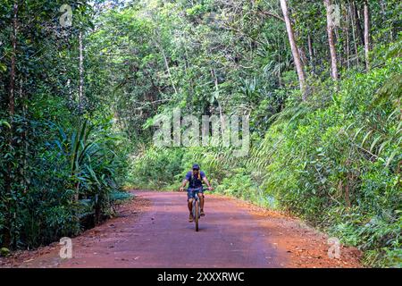 Vélo dans le parc provincial Blue River, Nouvelle-Calédonie Banque D'Images