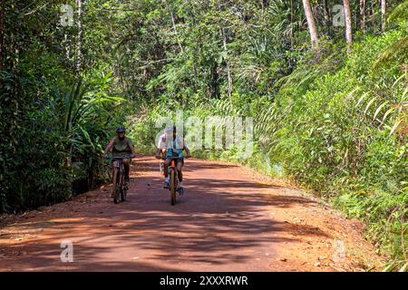 Vélo dans le parc provincial Blue River, Nouvelle-Calédonie Banque D'Images