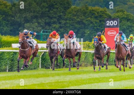 Impression de la course hippique 'Henkel Preis der Diana' de 2024 à Düsseldorf, la deuxième course hippique la plus riche d'Allemagne après 'Deutsches Derby' à Hambourg Banque D'Images