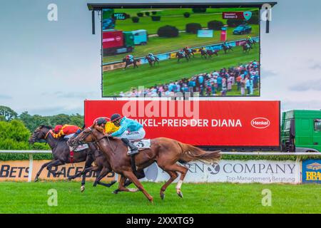 Impression de la course hippique 'Henkel Preis der Diana' de 2024 à Düsseldorf, la deuxième course hippique la plus riche d'Allemagne après 'Deutsches Derby' à Hambourg Banque D'Images