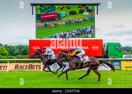 Impression de la course hippique 'Henkel Preis der Diana' de 2024 à Düsseldorf, la deuxième course hippique la plus riche d'Allemagne après 'Deutsches Derby' à Hambourg Banque D'Images