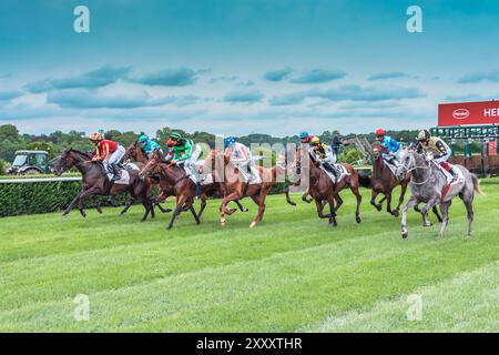 Impression de la course hippique 'Henkel Preis der Diana' de 2024 à Düsseldorf, la deuxième course hippique la plus riche d'Allemagne après 'Deutsches Derby' à Hambourg Banque D'Images