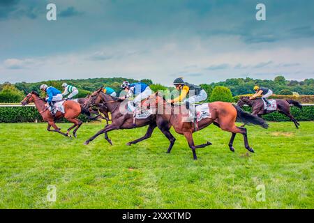 Impression de la course hippique 'Henkel Preis der Diana' de 2024 à Düsseldorf, la deuxième course hippique la plus riche d'Allemagne après 'Deutsches Derby' à Hambourg Banque D'Images