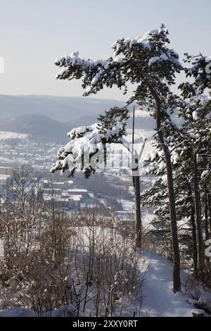 Une vue d'Iéna depuis le Lobdebourg, Thuringe, en hiver avec de la neige fraîche une vue d'Iéna depuis le Lobdebourg, Thuringe, dans la neige d'hiver Banque D'Images