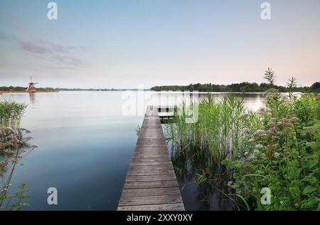 Fleurs sauvages par jetée sur grand lac en été Banque D'Images