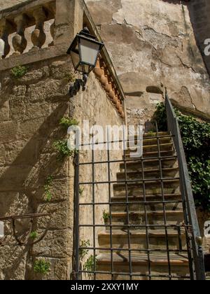 Escalier en pierre à côté d'une lanterne sur un vieux mur de pierre, en partie envahi de lierre, palma de Majorque, majorque, îles baléares, espagne Banque D'Images