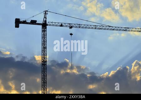 Silhouette de grue et les rayons du soleil Banque D'Images