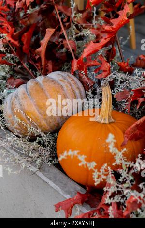 Halloween décoré café extérieur ou terrasse de restaurant en Amérique ou en Europe avec des citrouilles attributs traditionnels d'Halloween. Décoration de la cour pour la fête. Banque D'Images