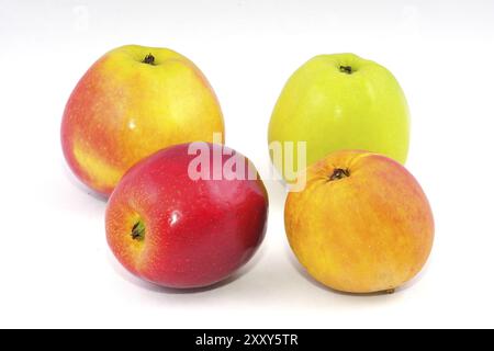 4 variétés différentes de pommes sur fond blanc Banque D'Images