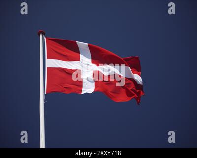 Danebrog, le drapeau national danois bat dans le vent d'été. Le drapeau du Danemark Banque D'Images