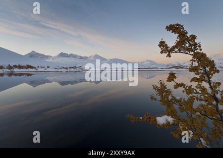 Les sommets Hoegronden, Midtronden et Digerronden se reflètent dans un lac dans la vallée de Doeralen, parc national de Rondane, Oppland Fylke, Norvège, Septemb Banque D'Images