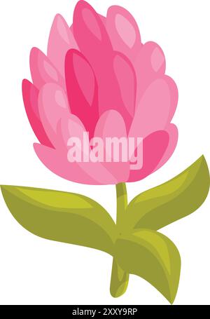 Fleur de trèfle rose fleurissant avec des feuilles vertes sur un fond blanc Illustration de Vecteur