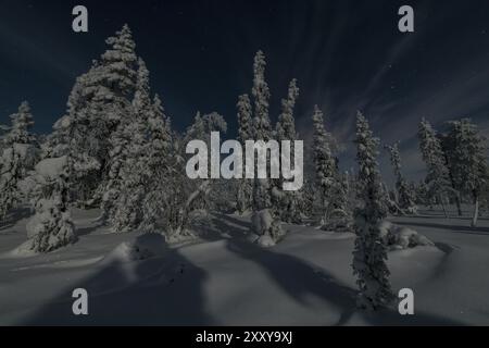 Paysage hivernal au clair de lune, Muddsus Nationalaprk, site du patrimoine mondial de Laponie, Laponie, Suède, novembre 2017, Europe Banque D'Images