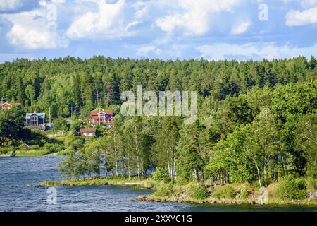 Paysage forestier avec des maisons dispersées sur le bord du lac par temps ensoleillé, stockholm, mer baltique, suède, scandinavie Banque D'Images