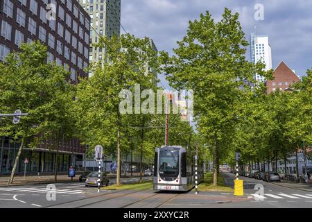 Écologisation urbaine, rue du centre-ville Laan op Zuid, dans le quartier Feijenoord de Rotterdam, 4 voies, 2 pistes de tramway, pistes cyclables des deux côtés, trottoirs et p Banque D'Images