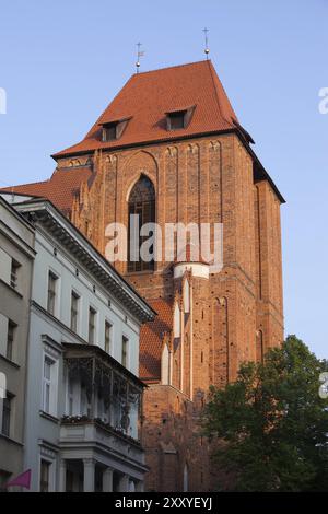 Torun, Pologne, coucher de soleil à la cathédrale gothique Basilique de Jean le Baptiste et de Jean l'Evangéliste, Europe Banque D'Images