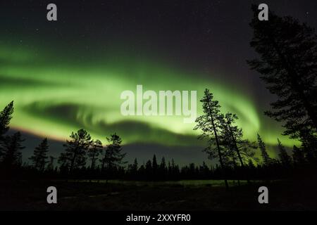 Aurores boréales (aurores boréales), parc national de Muddus, site du patrimoine mondial de Lapnia, Norrbotten, Laponie, Suède, octobre 2015, Europe Banque D'Images