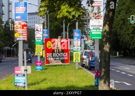 Landtagswahlkampf in Saxe Die heiße phase das Landtagswahlkampfes in Saxe, kann man der Menge der verschiedentsten Botschaften an Bäume und Laternen ablesen. Dresde Sachsen Deutschland *** campagne électorale d'Etat en Saxe la phase chaude de la campagne électorale d'Etat en Saxe peut être vue dans la quantité de messages différents sur les arbres et les lanternes Dresde Saxe Allemagne Banque D'Images