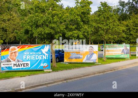 Landtagswahlkampf in Saxe Die heiße phase das Landtagswahlkampfes in Saxe, kann man der Menge der verschiedentsten Botschaften an Bäume und Laternen ablesen. Freital Sachsen Deutschland *** campagne électorale d'Etat en Saxe la phase chaude de la campagne électorale d'Etat en Saxe peut être vue dans la quantité de messages différents sur les arbres et les lanternes Freital Saxe Allemagne Banque D'Images