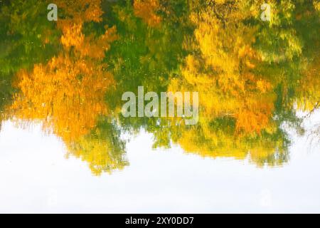 Réflexion des arbres d'automne dans un plan d'eau. Scène tranquille mettant en vedette la nature de réflexion en automne Banque D'Images