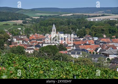 Avenay-Val-d'Or (Nord-est de la France) : village et vignoble de Champagne, au sud des montagnes de Reims, dans une vallée formée par le Livre. Banque D'Images