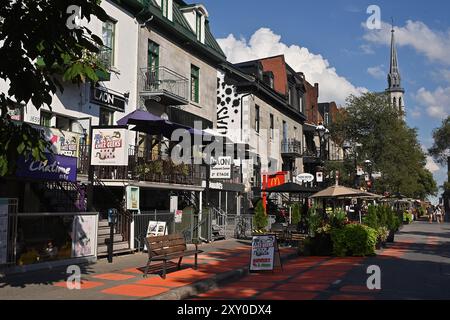 Canada, Québec, Montréal : restaurants et boutiques dans la rue commerçante rue Saint-Denis, au centre-ville. Enseigne McDonald’s et Cathedra Saint-Jacques Banque D'Images