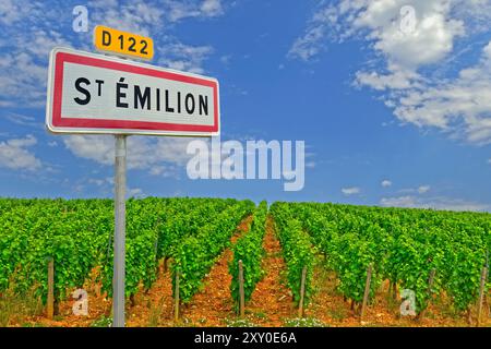 Vinyard at. Emilion dans la région bordelaise du Sud-Ouest de la France. Banque D'Images