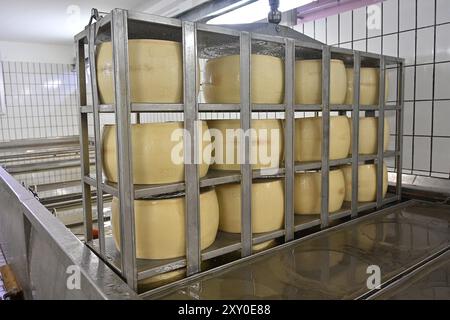 Italie, Émilie-Romagne : Castelvetro di Modena. Cooperativa San Silvestro, usine de parmesan créée en 1975, spécialisée dans la production de par Banque D'Images